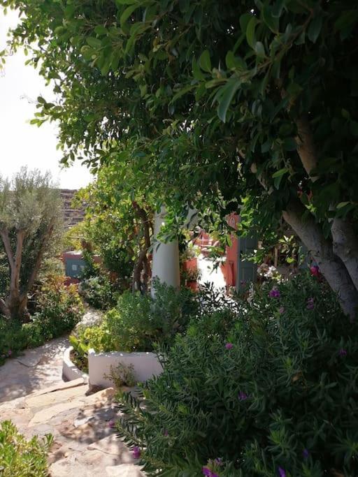 Casa Dei Melograni At Vourlidia Leros Vromolithos Exterior foto